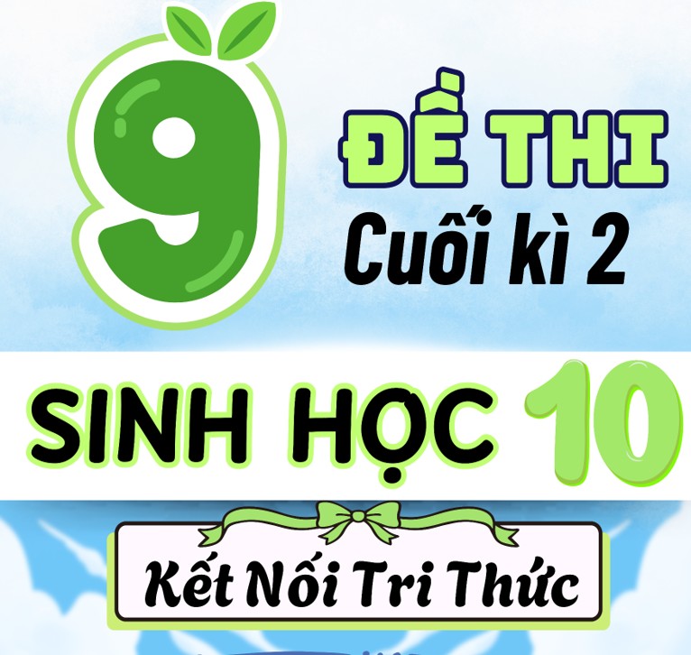 9 Đề thi Sinh Học 10 cuối học kì 2 có Ma trận & Đáp án (Kết nối tri thức)